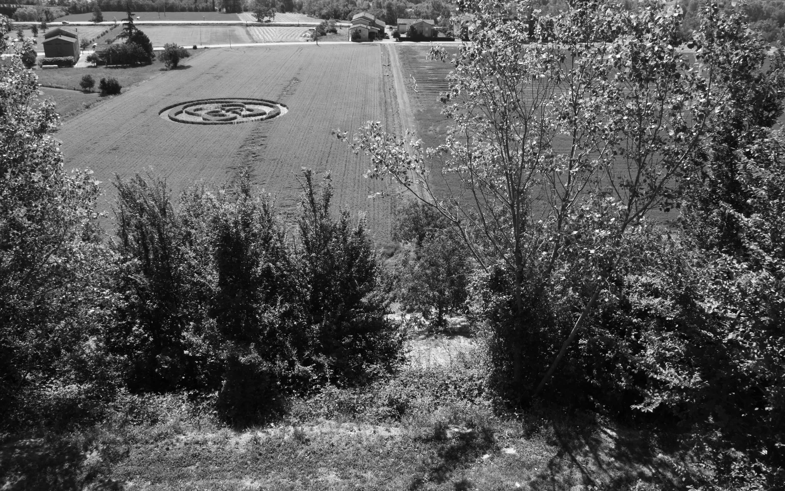 Torrechiara 2010 - Foto 8