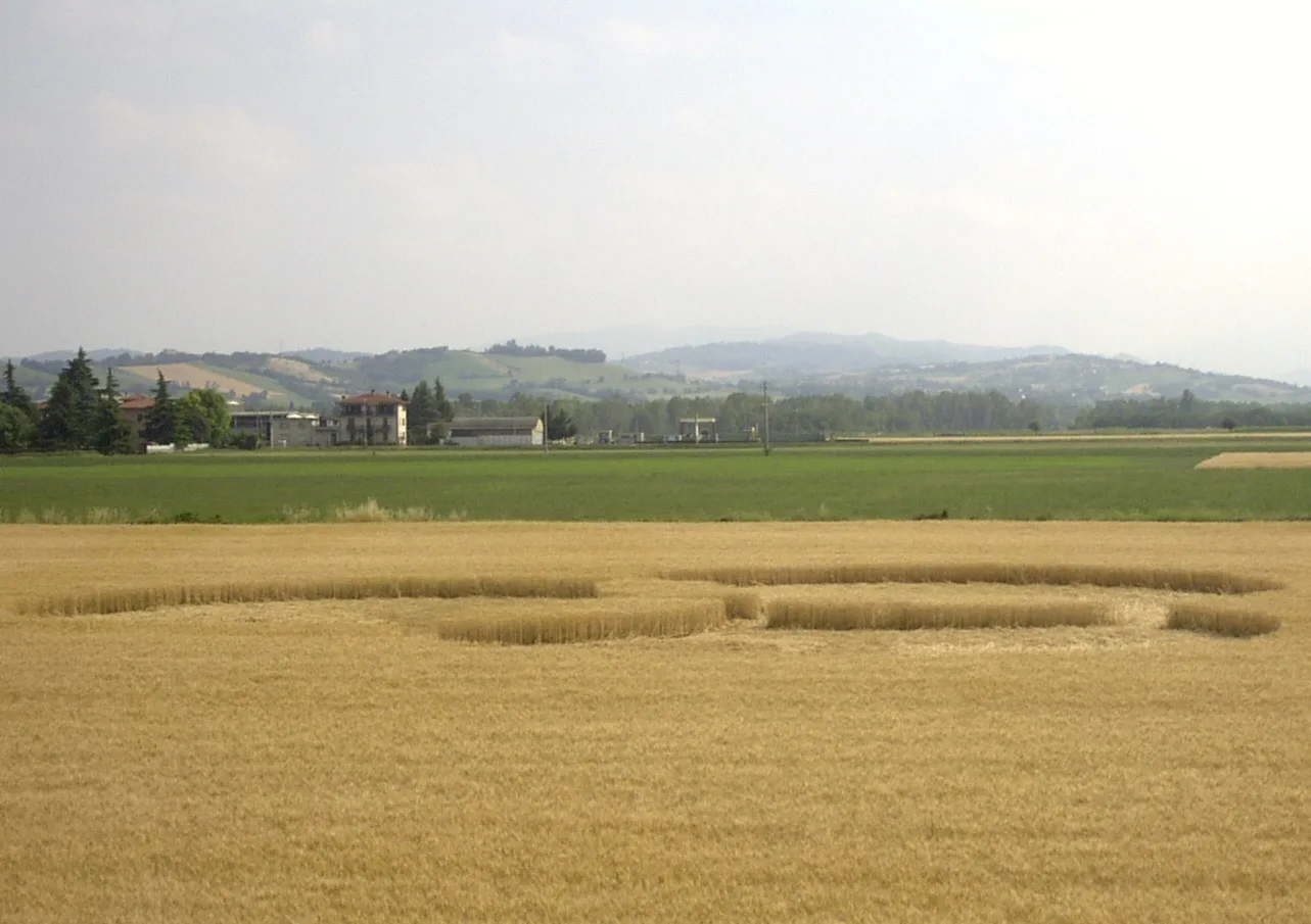 Panocchia 2004 - Foto 6