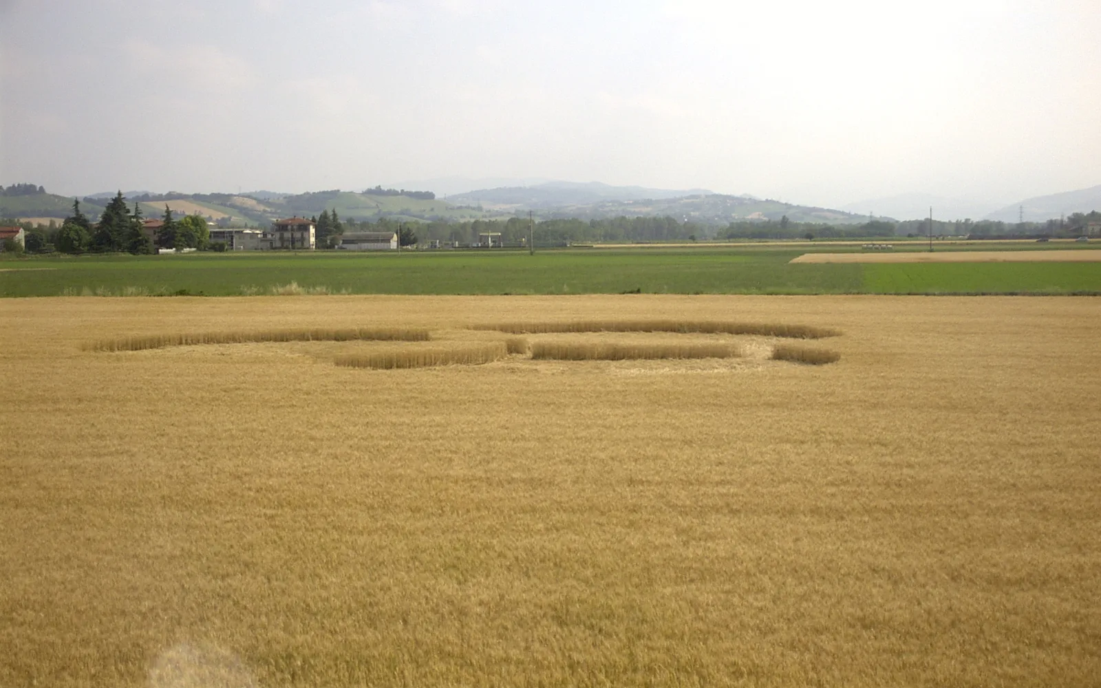 Panocchia 2004 - Foto 7