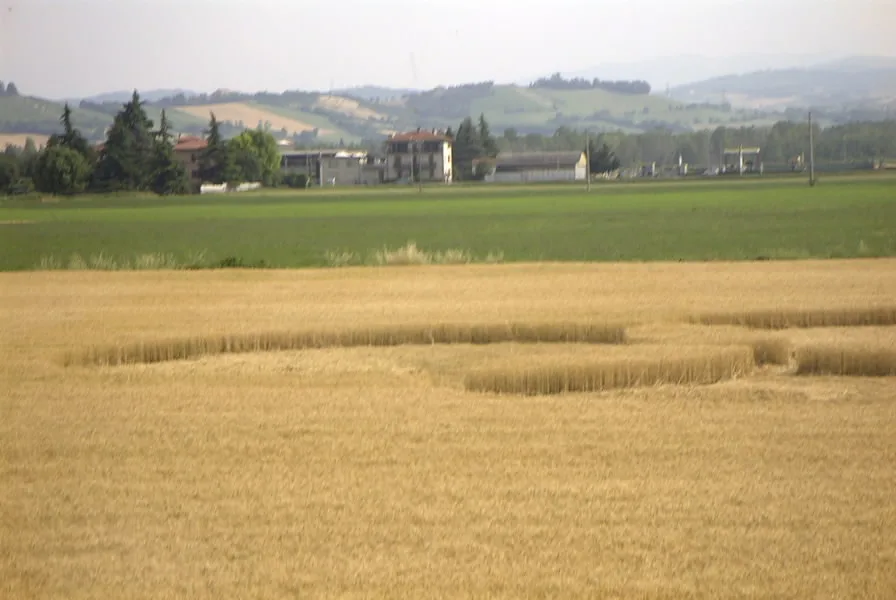Panocchia 2004 - Foto 9